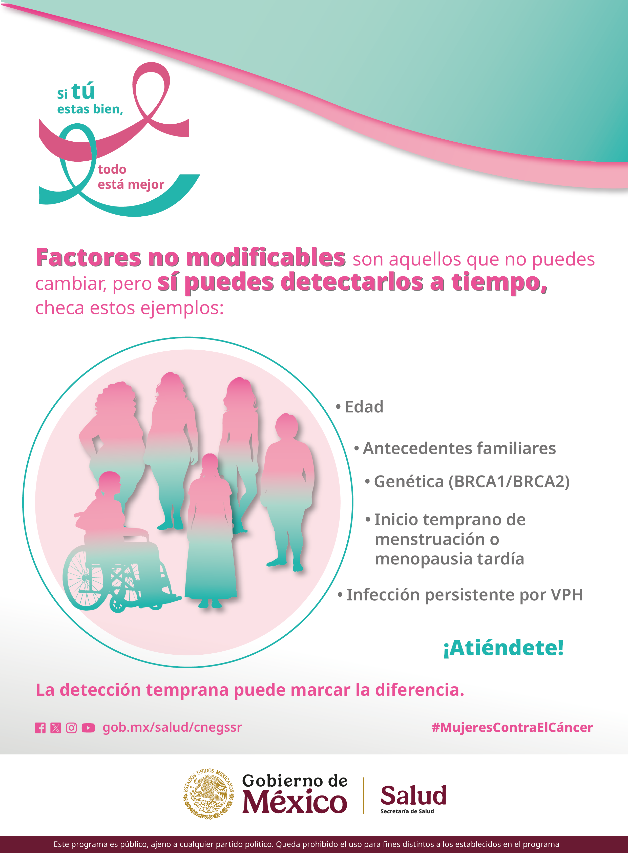 Infografía Factores de Riesgo