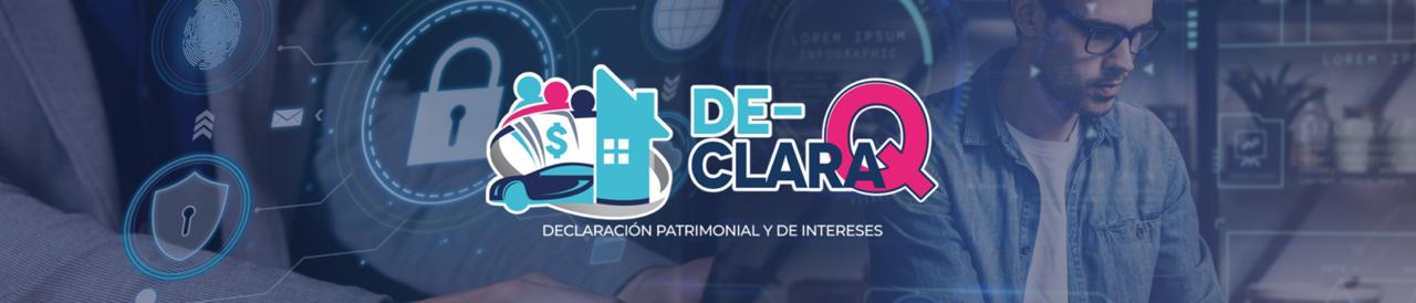 DECLARAQ25